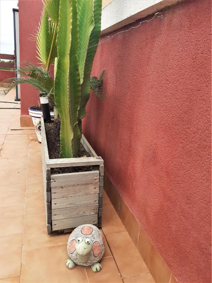 Casa Ohana Solarium, Jacuzzi,Piscine,Tout Confort أوريويلا المظهر الخارجي الصورة